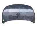 CAPOT DELANTERO 11A823031B 