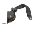 CINTURON SEGURIDAD TRASERO DERECHO 10242536 B12536PPC030119 