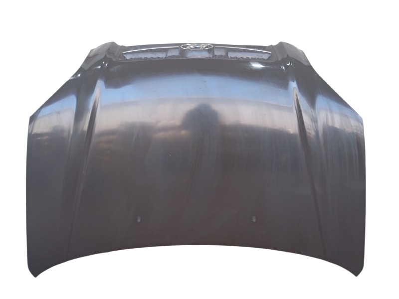 Recambio de capot delantero para hyundai tucson (jm) 2.0 crdi referencia OEM IAM 664002E020  