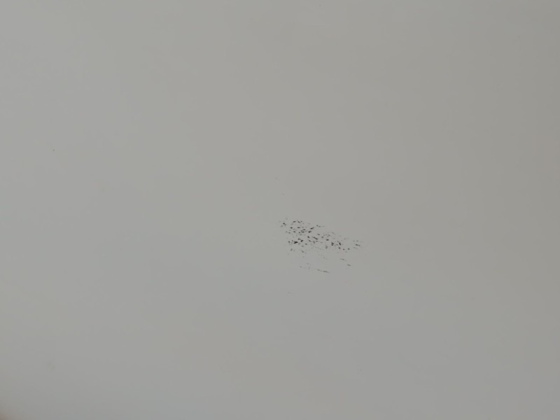 Recambio de puerta trasera izquierda para ford mondeo iii (b5y) 2.0 tdci referencia OEM IAM 1446442  