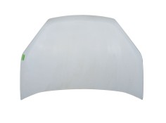 Recambio de capot delantero para fiat doblo autobús (263_) 1.3 d multijet (263axc1a) referencia OEM IAM   