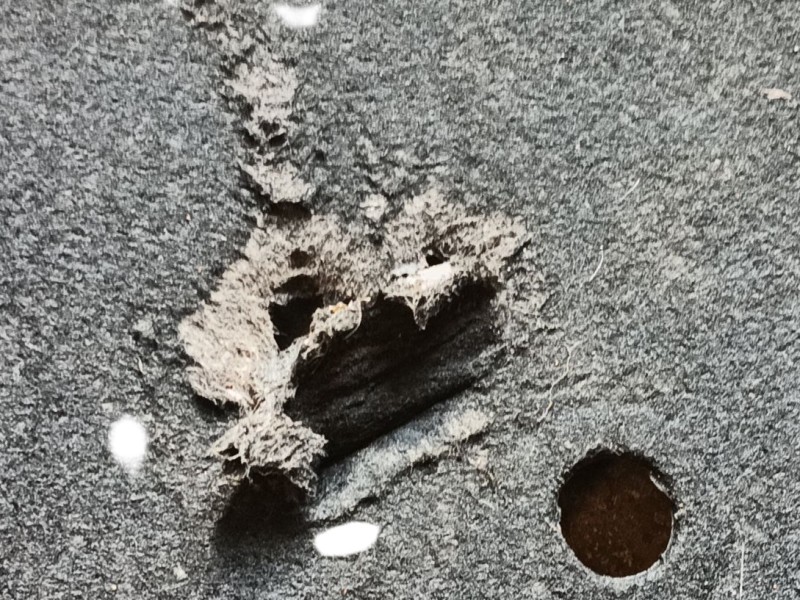 Recambio de cubrecarter para peugeot 208 ii (ub_, up_, uw_, uj_) 1.2 puretech 100 referencia OEM IAM   