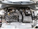 MOTOR COMPLETO DXD 