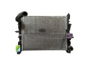 RADIADOR AGUA 214107600R T79866C 