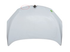 Recambio de capot delantero para renault megane iii hatchback (bz0/1_, b3_) 1.5 dci referencia OEM IAM 651009018R  