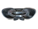 CUADRO INSTRUMENTOS 248108710R 248105397R 