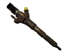 INYECTOR 166093282R HMLGT5164R 