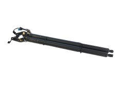 Recambio de amortiguadores maletero / porton para bmw 1 (f40) 118 d referencia OEM IAM   