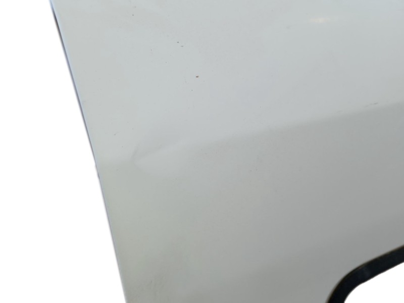 Recambio de puerta delantera derecha para fiat doblo cargo (263_) 1.3 d multijet referencia OEM IAM 0000052155064  