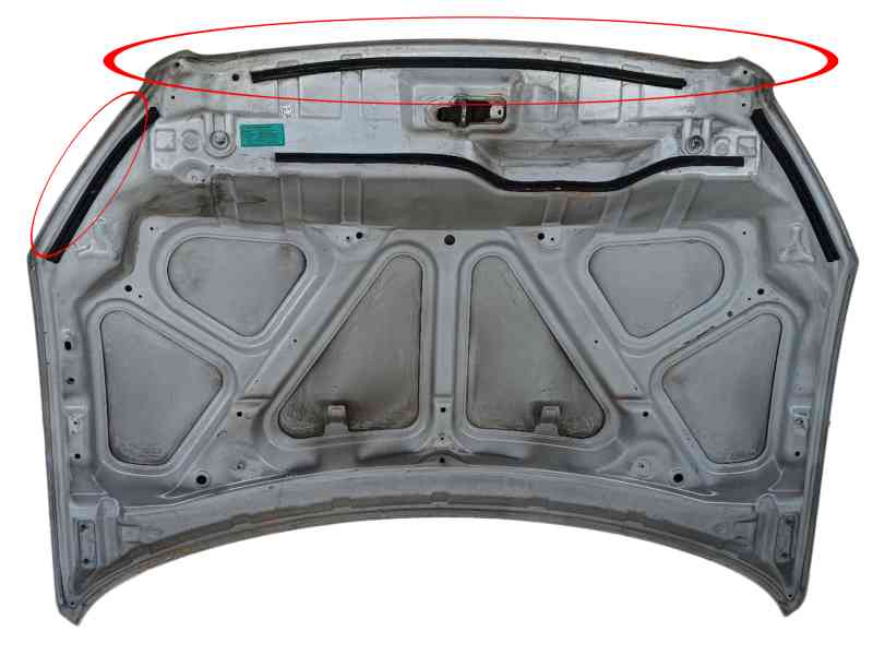 Recambio de capot para nissan qashqai i (j10, nj10) 1.6 dci referencia OEM IAM F5100BR0MC  