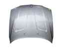 CAPOT DELANTERO 41003449411 