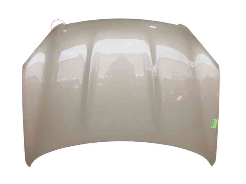 Recambio de capot delantero para nissan qashqai i (j10, nj10) 2.0 dci referencia OEM IAM F5100JD0MB  