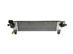 Recambio de intercooler para nissan qashqai i (j10, nj10) 2.0 dci referencia OEM IAM 14461JD50A G306203 