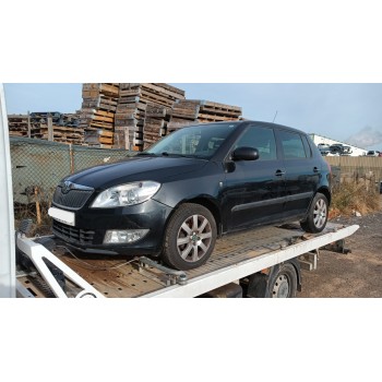 SKODA FABIA II (542)