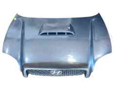 Recambio de capot delantero para hyundai santa fé i (sm) 2.0 crdi referencia OEM IAM 6640026072  