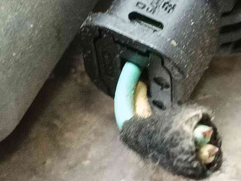 Recambio de elevalunas delantero derecho para citroën c-elysee (dd_) 1.6 hdi 92 referencia OEM IAM 9674412380  