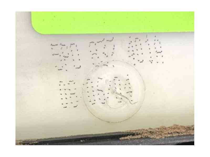 Recambio de elevalunas delantero izquierdo para seat altea (5p1) 2.0 tdi 16v referencia OEM IAM   