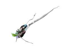Recambio de cerradura puerta delantera derecha para chrysler pt cruiser (pt_) 2.0 referencia OEM IAM 05027960AI  