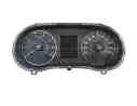 CUADRO INSTRUMENTOS 248099024R A3C0303910100 RNI248099024R
