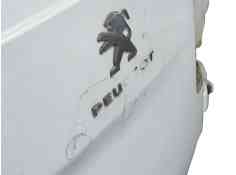 Recambio de porton trasero derecho para peugeot expert furgoneta (v_) 1.5 bluehdi 120 referencia OEM IAM  0959150R00D  2