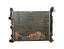 RADIADOR AGUA 8200455801 K7439009 1130914