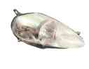 FARO DERECHO 51701594 01142010 6001071457