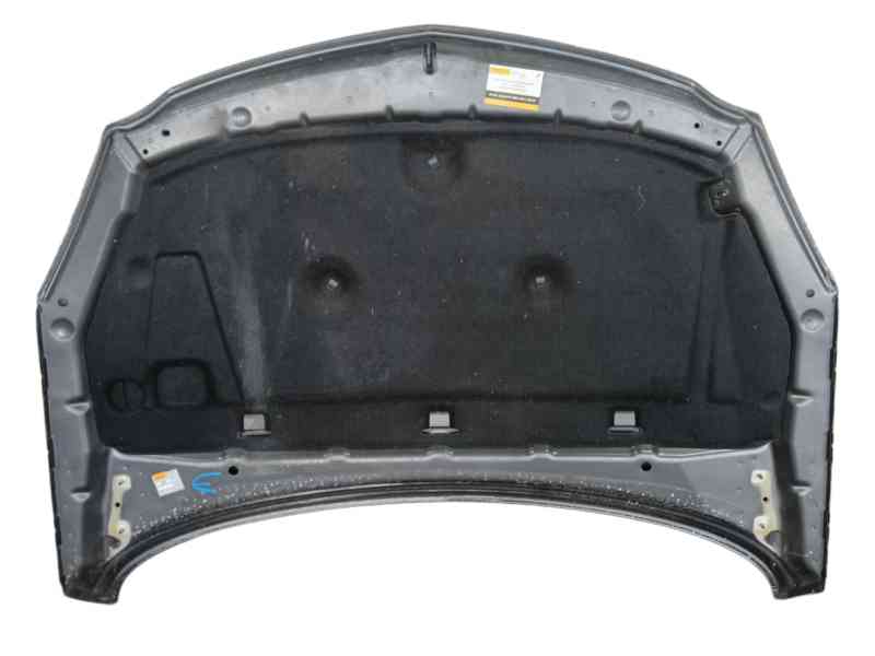 Recambio de capot delantero para opel insignia a (g09) 2.0 cdti (68) referencia OEM IAM 39059617  