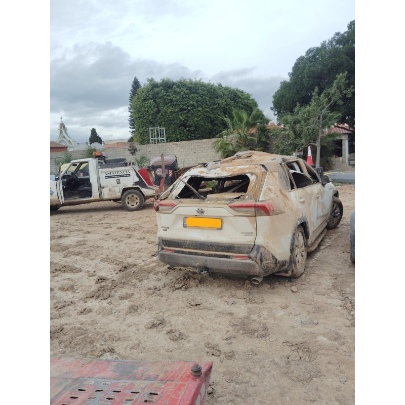 TOYOTA RAV 4 V (_A5_, _H5_)