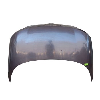 PORTON TRASERO 1Q0827025GGRU 1Q0827025G 