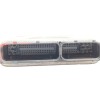 Recambio de centralita motor uce para seat ibiza (6l1) 1.9 tdi referencia OEM IAM 038906019NL  0281012276