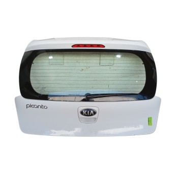 PORTON TRASERO 737001Y060 