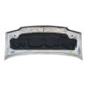Recambio de capot delantero para fiat ducato caja/chasis (244_) 2.8 jtd referencia OEM IAM 0000059232034  