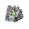 Recambio de caja cambios para mini mini (f55) cooper d referencia OEM IAM 23008482139 GS659DG 