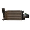 Recambio de intercooler para nissan micra v (k14) 1.0 dig-t 117 referencia OEM IAM 144615FA0A 155522 