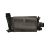 Recambio de intercooler para dacia sandero iii 1.0 tce 90 referencia OEM IAM 144968819R T79461C IA2205