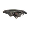 Recambio de faro derecho para ssangyong kyron 2.0 xdi referencia OEM IAM 8310209101 24572 