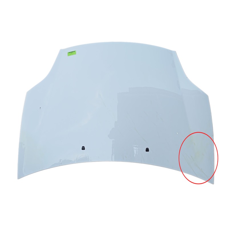 Recambio de capot para fiat bravo ii (198_) 1.6 d multijet (198axh1b) referencia OEM IAM 51775925  