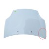 Recambio de capot para fiat bravo ii (198_) 1.6 d multijet (198axh1b) referencia OEM IAM 51775925  