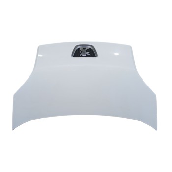 CAPOT DELANTERO 7901Q0 