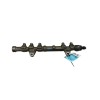 Recambio de rampa inyectora para peugeot bipper (aa_) 1.3 hdi 75 referencia OEM IAM 1570S3 0445214217 
