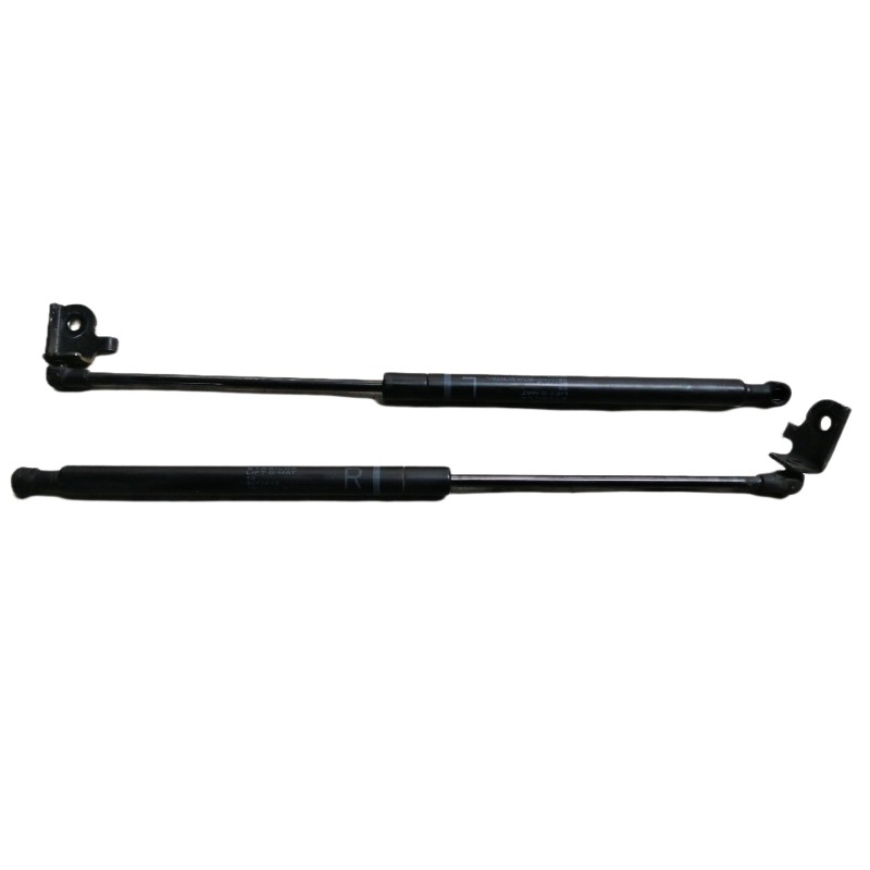 Recambio de amortiguadores capo para lexus is200 (ds2/is2) 220d referencia OEM IAM 534500W081  534400W101