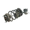 Recambio de amortiguador delantero izquierdo para nissan almera (n16/e) acenta referencia OEM IAM   