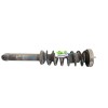 Recambio de amortiguador trasero derecho para bmw 5 (e60) 525 d referencia OEM IAM 33526785982 3352677505901 