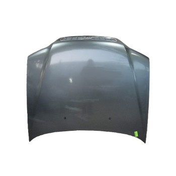 CAPOT DELANTERO 30621340 D4192T3 