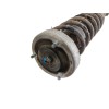 Recambio de amortiguador trasero izquierdo para bmw 5 (e60) 525 d referencia OEM IAM 33526785982 814903002568 