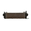 Recambio de intercooler para bmw x5 (g05, f95) 30 d mild-hybrid xdrive referencia OEM IAM 17118584127 KB810004 