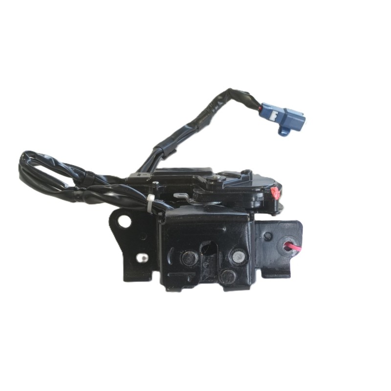Recambio de cerradura maletero / porton para lexus ct (zwa10_) 200h (zwa10_) referencia OEM IAM 6935047042  