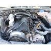 Recambio de caja cambios para volkswagen passat b5.5 (3b3) 1.9 tdi referencia OEM IAM 12300061EX EEN 