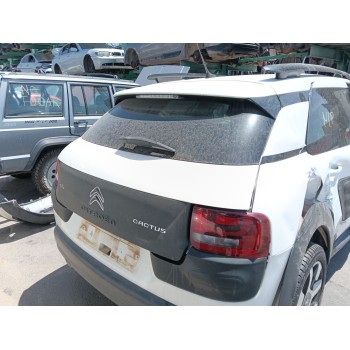 PORTON TRASERO 9800805380 
