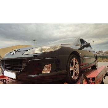 PEUGEOT 407 (6D_)